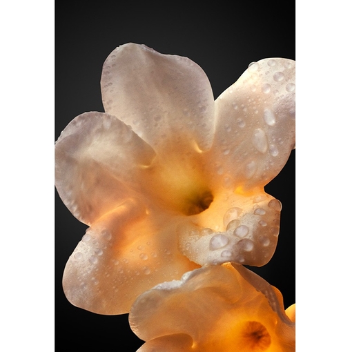 Product Olympéa Absolu Parfum Intense 50ml base image