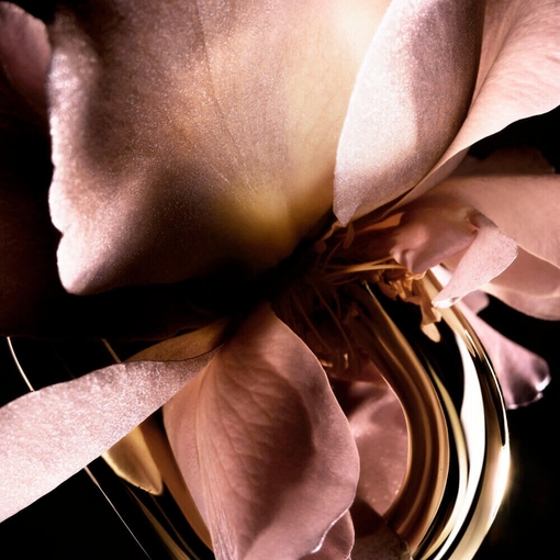 Product Million Gold For Her Eau De Parfum Set base image