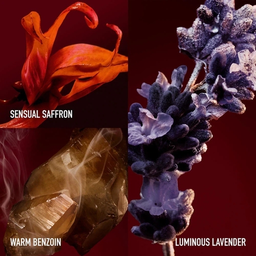 Product Phantom In Red Parfum Elixir - Refillable 150ml base image