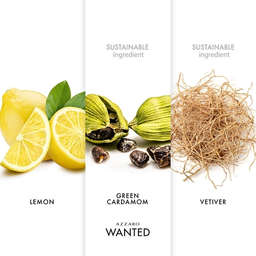 Product Wanted Eau De Toilette 50ml base image