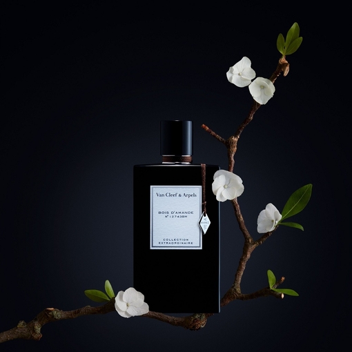 Product Collection Extraordinaire Bois D'Amande Eau De Parfum 75ml base image