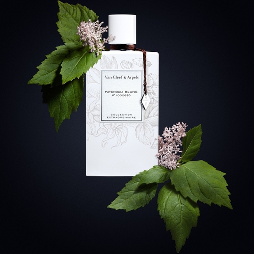 Product Collection Extraordinaire Patchouli Blanc Eau De Parfum 75ml base image