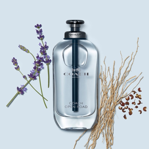 Product Open Road Eau De Toilette 100ml base image