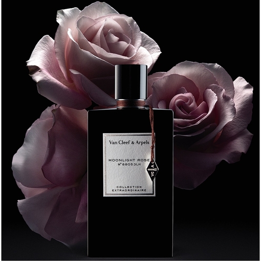 Product Collection Extraordinaire Moonlight Rose Eau De Parfum 75ml base image