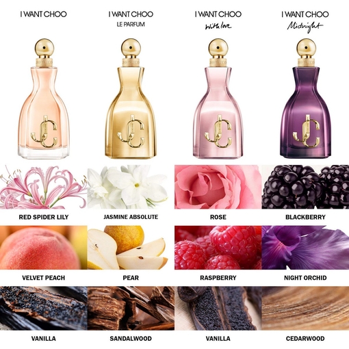 Product I Want Choo Midnight Eau De Parfum 100ml base image