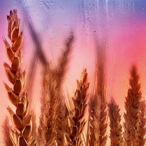 Product This Is Her! Burning Love Eau De Parfum 100ml base image