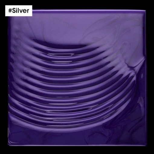 Product Serie Expert - Silver Professional Shampoo 300ml base image