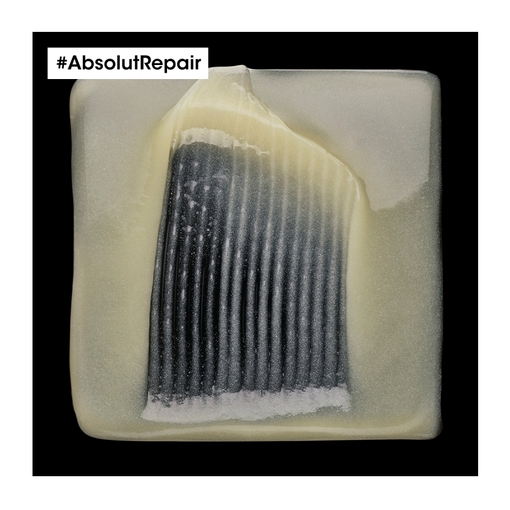 Product Serie Expert Absolut Repair Σαμπουάν Για Ταλαιπωρημένα Μαλλιά 300ml base image