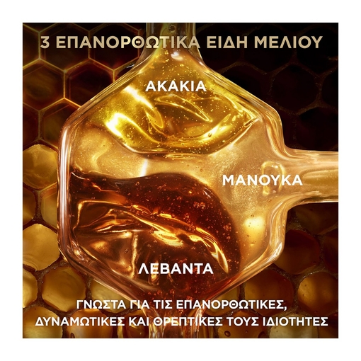 Product Garnier Botanic Therapy Honey Treasures Σαμπουάν Επανόρθωσης 400ml base image