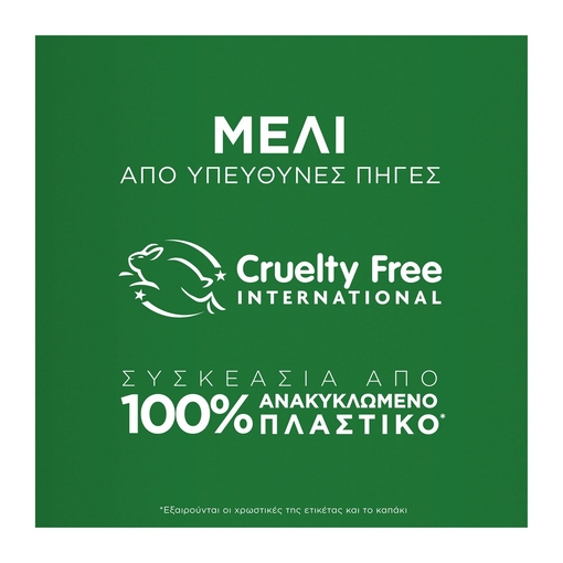 Product Garnier Botanic Therapy Honey Treasures Σαμπουάν Επανόρθωσης 400ml base image