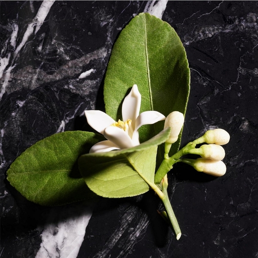 Product Homme Eau De Toilette 200ml base image