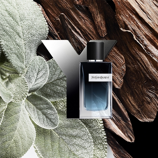 Product Y Eau de Parfum 60ml base image