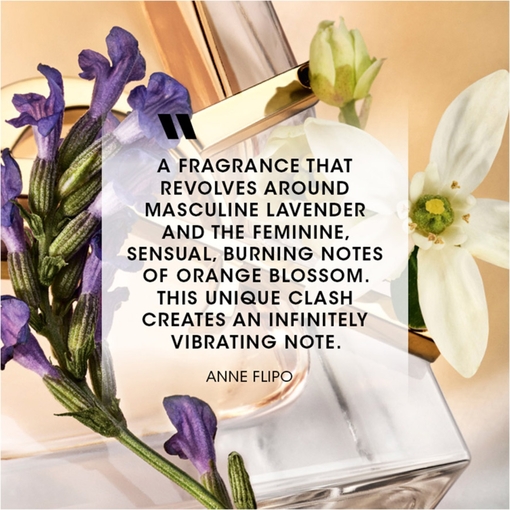 Product Yves Saint Laurent Libre Eau De Parfum 30ml base image