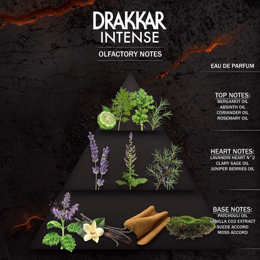 Product Drakkar Intense Body Spray Deodorant 200ml base image