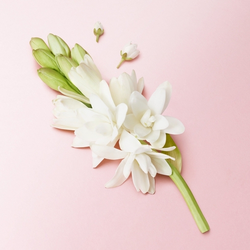 Product My Way Floral Eau De Parfum 30ml base image