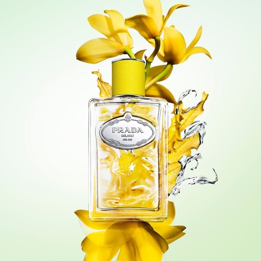 Product Les Infusion De Prada Infusion d'Ylang Eau De Parfum 100ml base image
