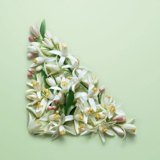 Product Paradoxe Eau De Parfum - Refillable 30ml base image