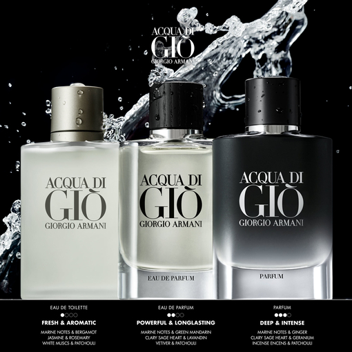 Product Acqua Di Giò Parfum Refill 150ml base image