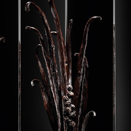 Product Myslf Le Parfum 40ml base image