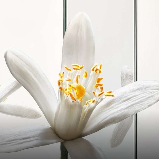 Product Myslf Eau De Parfum - Refillable 150ml base image