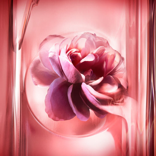 Product Idôle Power L'Eau De Parfum Intense 50ml base image