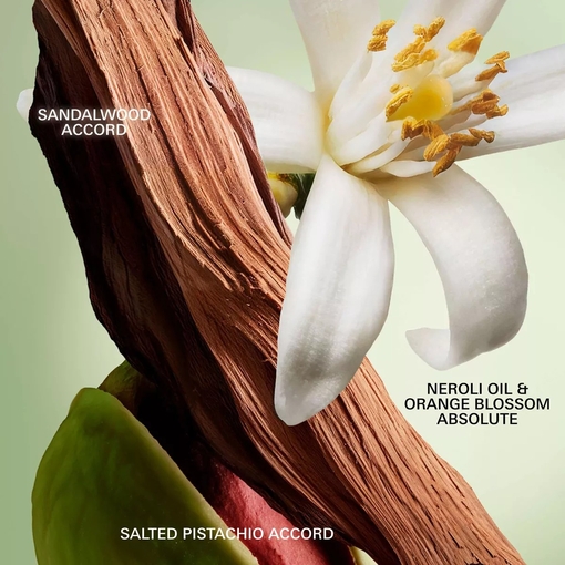 Product Paradoxe Radical Essence Parfum - Refillable 50ml base image