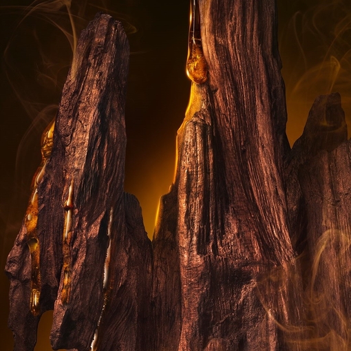 Product Forever Wanted Absolu Parfum 100ml base image