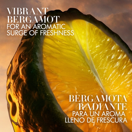 Product I Will Eau De Parfum - Refillable 30ml base image