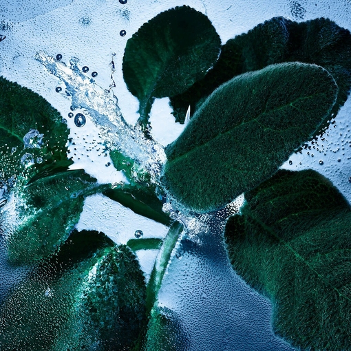 Product Y Iced Cologne Eau De Toilette Intense 60ml base image