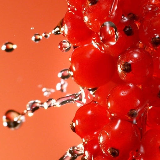 Product Idôle Peach ’N Roses Eau De Parfum 100ml base image