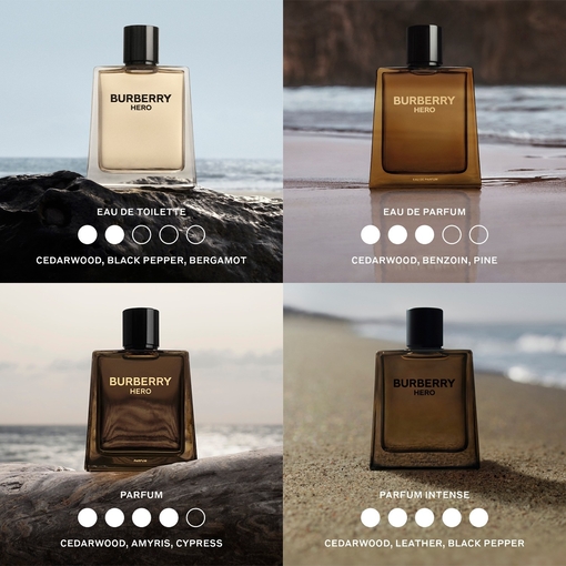 Product Hero Parfum Intense 100ml base image