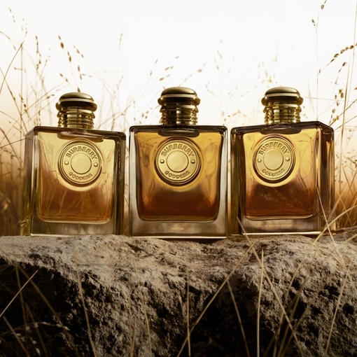 Product Burberry Goddess Parfum - Refillable 50ml base image