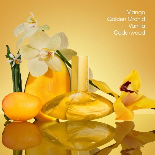 Product Euphoria Solar Elixir Parfum Parfum Intense 50ml base image