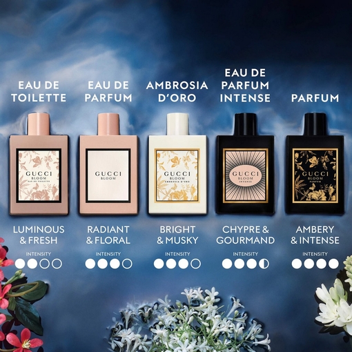 Product Bloom Ambrosia D' Oro Eau De Parfum 50ml base image
