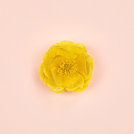 Product Bloom Ambrosia D' Oro Eau De Parfum 30ml base image