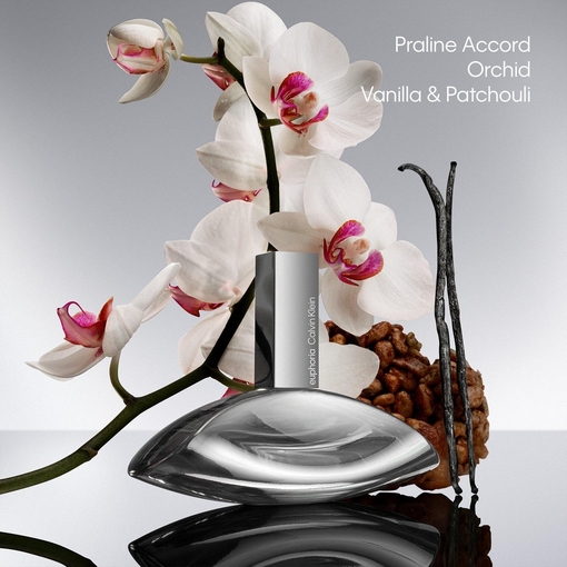 Product Euphoria Signature Elixir - Parfum Intense 50ml base image