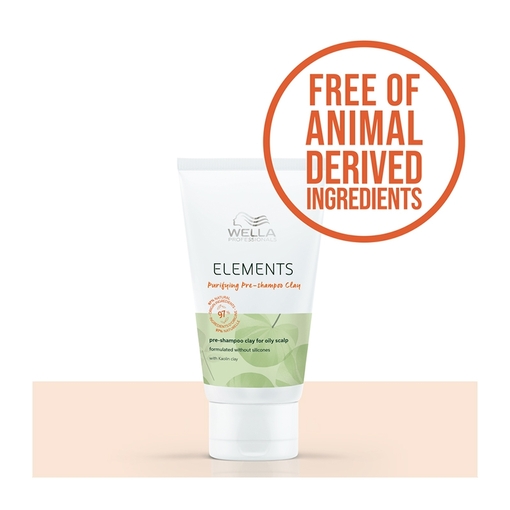 Product Elements Purifying Pre-Shampoo Clay 70ml base image