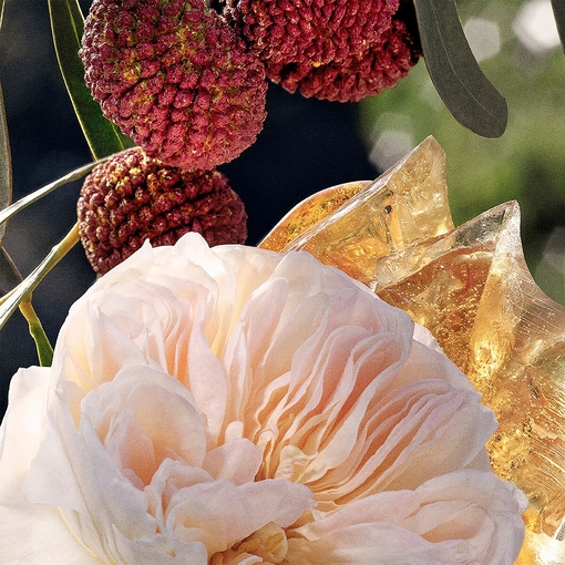Product Chloé Eau De Parfum 30ml base image