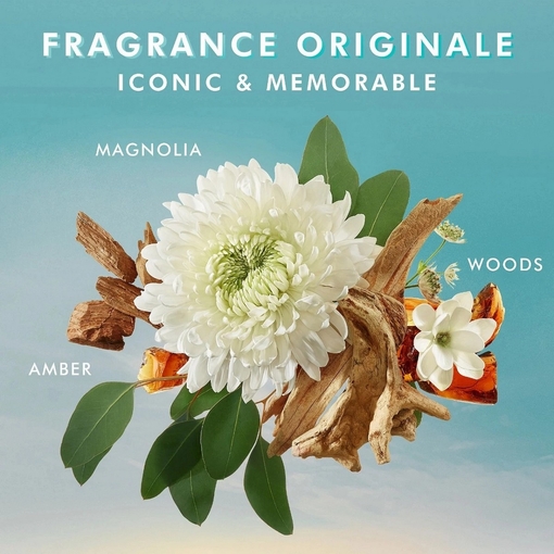 Product Fragrance Originale Hand Wash 360ml base image