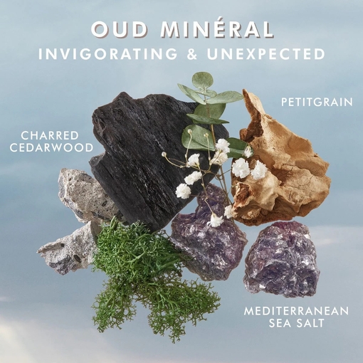 Product Oud Minéral Shower Gel 250ml base image