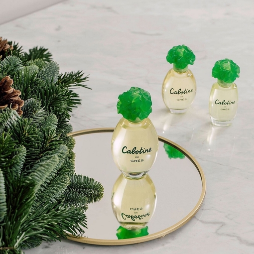 Product Cabotine De Grès Eau De Toilette 100ml base image