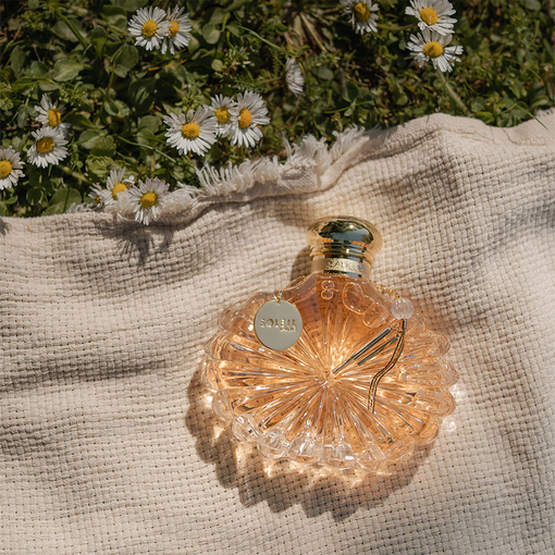 Product Soleil Lalique Eau De Parfum 50ml base image