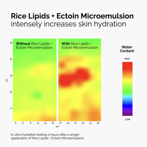Product Rice Lipids & Ectoin Microemulsion 60ml base image