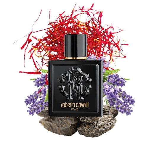 Product Roberto Cavalli Uomo Eau De Toilette 100ml base image