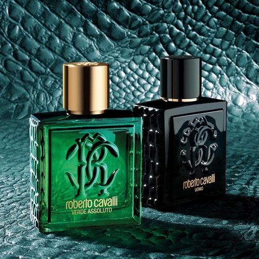 Product Roberto Cavalli Uomo Eau De Toilette 100ml base image