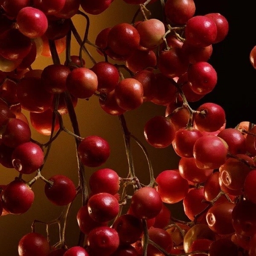 Product The One Eau De Parfum Intense 50ml base image