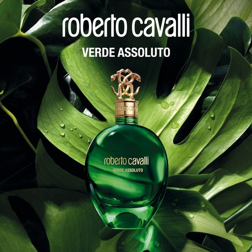Product Signature Verde Assoluto Eau De Parfum 75ml base image