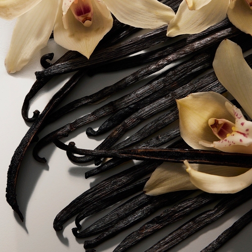 Product The Only One Eau De Parfum Intense 100ml base image