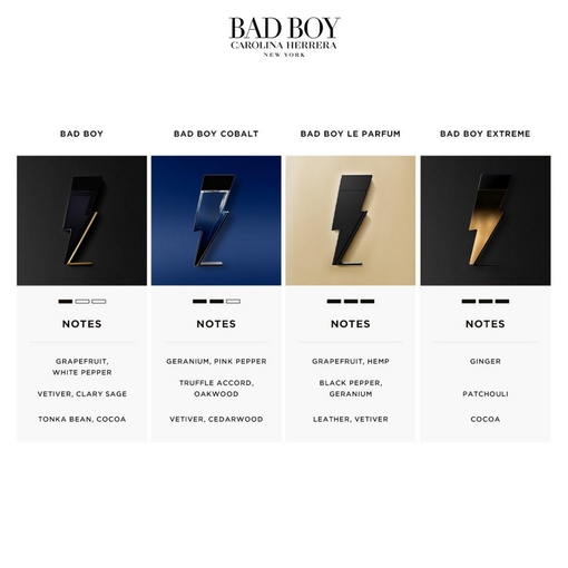 Product Bad Boy Extreme Eau De Parfum 50ml base image