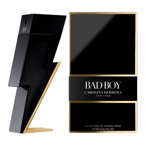 Product Bad Boy Eau De Toilette 100ml base image